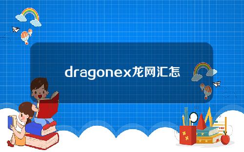 dragonex龙网汇怎么样？它属于哪个国家