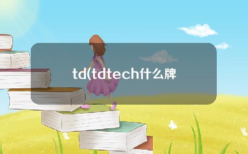 td(tdtech什么牌子)