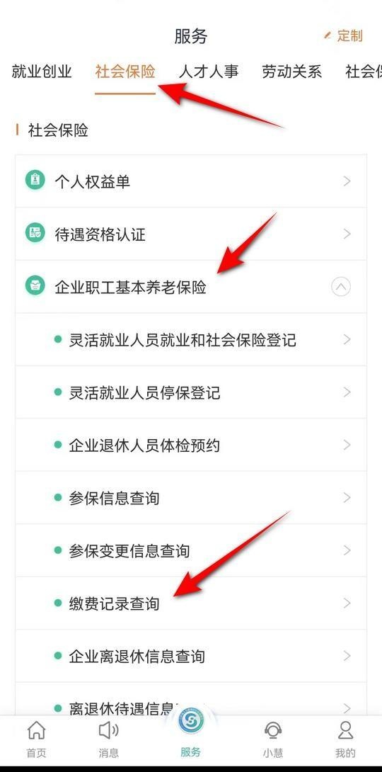 社保明细网上怎么查询打印