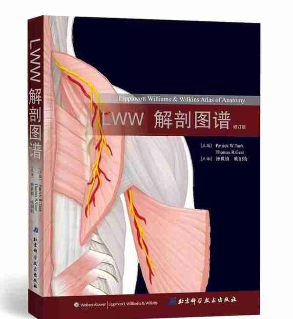 学习骨科，解剖是基础，LWW解剖图谱（中文的来了！）
