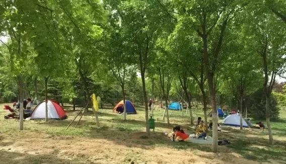 露营，可能是这个季节最浪（漫）的事了！京郊这6个露营地，看你去过哪一个？