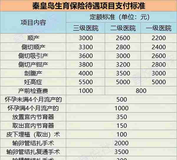 灵活就业参保人员可以享受生育津贴吗？