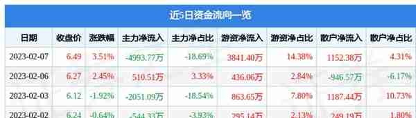 宝新能源（000690）2月7日主力资金净卖出4993.77万元