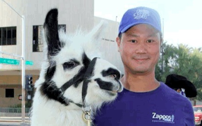 互联网卖鞋20年：中国为什么没有Zappos？