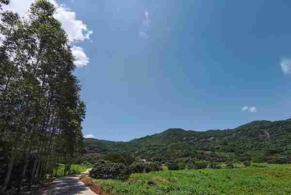 饶平最地气美食和水果之乡——浮山镇旅游攻略