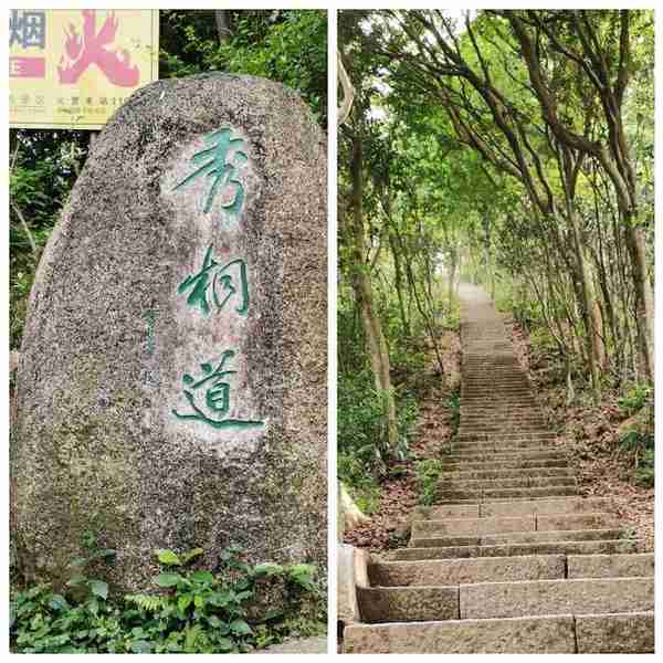 景色绝美的登山之旅——梧桐山·秀桐道登山路线