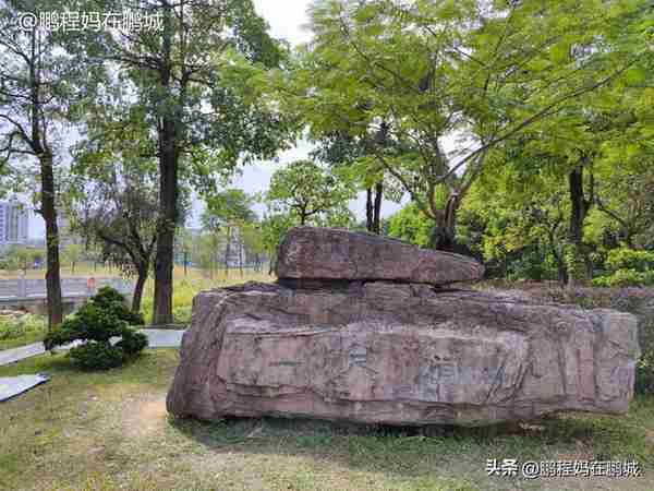 遛娃好去处（48）石岩湖公园和俯仰之间公园，带你寻找孩子的乐趣