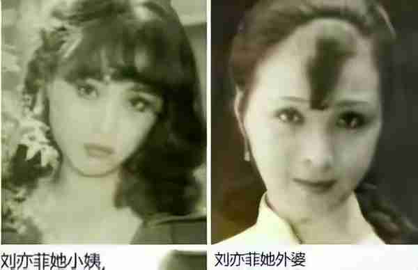 刘亦菲的妈妈刘晓莉：两婚两离，至今单身，长得比女儿还美