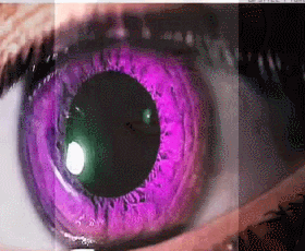 紫罗兰眼睛是啥？全球只有600人有？有你吗？