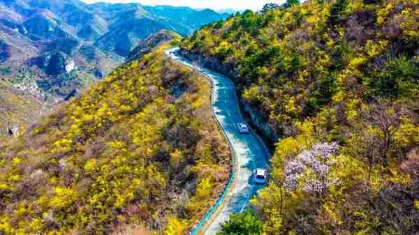 紧急通知！云台山超低旅游年票官方说明来了！再加一个景区