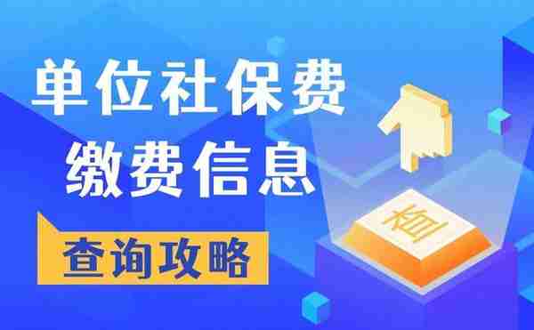 如何在电子税务局查询单位社保费缴费信息？