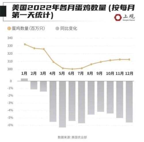 快吃不起鸡蛋了？全球多地蛋价创纪录！最离谱的是这个国家→