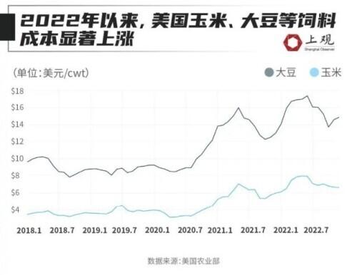 快吃不起鸡蛋了？全球多地蛋价创纪录！最离谱的是这个国家→